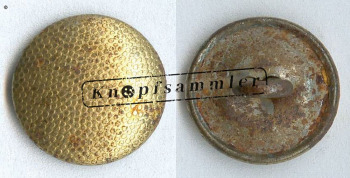 CBAD-90SG01-g16_(001)