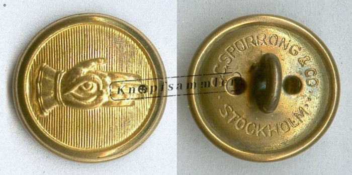 CPEDK-080004-g15_(Spo01K10)