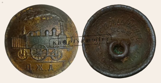 CTER-P00010-g22_(Kop01C10)