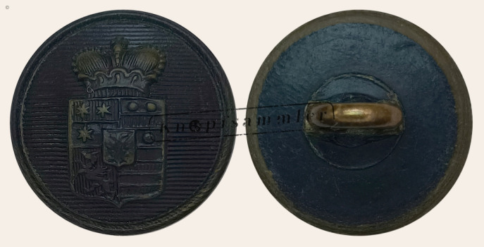 CLFD-4Erb01-h16_001)