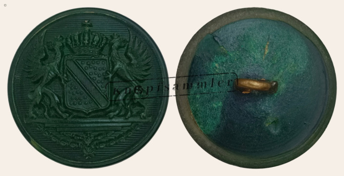 CLFD-1B7210-h24_(001)