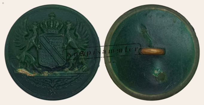 CLFD-1B7210-h24_(001)b