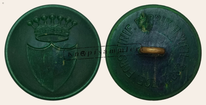 CLFD-5Ran10-h24_(001)