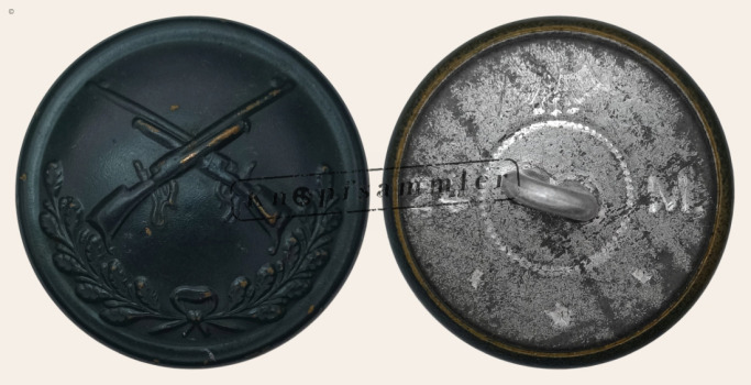 CGVD-R17401B-f24_(Lin03G24)