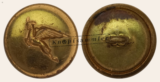 CTLW2SA-SAA961-g19_(001)