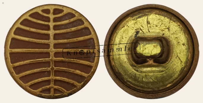 CTLW3US-PaA027-gf15_(101F01US)