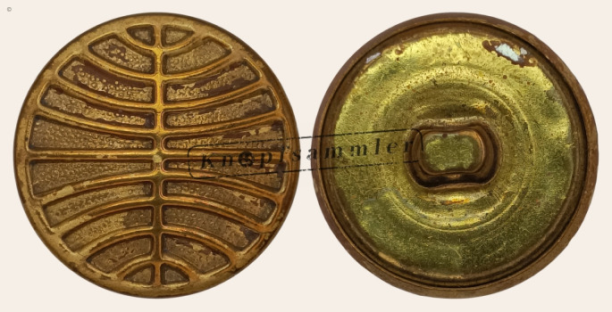 CTLW3US-PaA027-gf19_(101F01US)