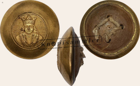CBSS-Sto005-g23_(001N02S)