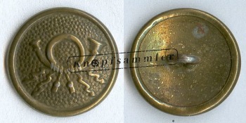 CPOD-900010-g19_(001)a