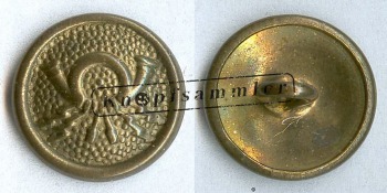 CPOD-900010-g16_(001)
