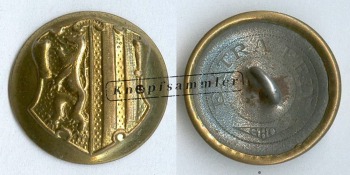 CBSD-SBDr18-g22_(Osa01M01)