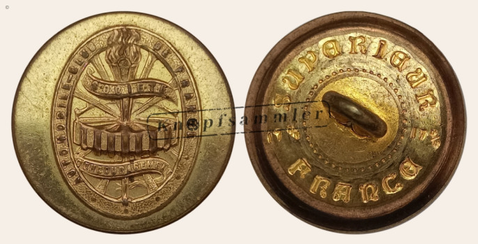 CGVF-A01010-g17_(0S002E17)