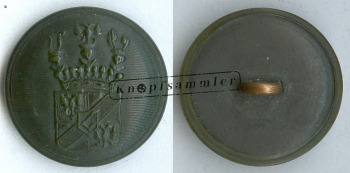 CLFD-4Mag01-h24(_(001)a