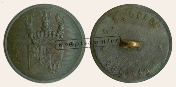 CLFD-4Mag10-h24_(Ope01H01)a