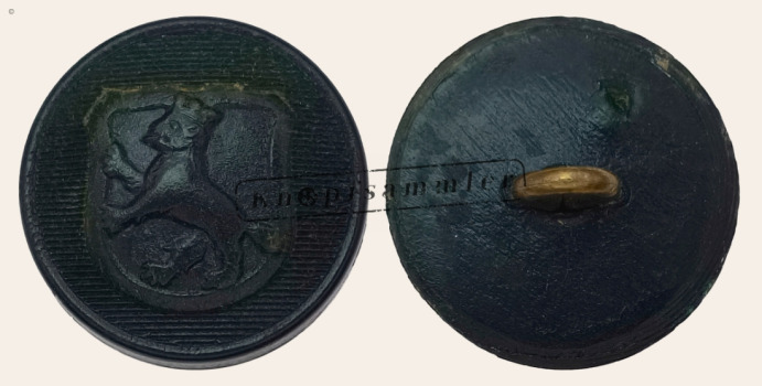 CLFD-BS0Bi1-h16_(001)