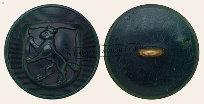 CLFD-BS0Bi1-h24_(001)