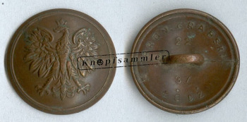 CBAPL-502802-g23_(BGL37E22)