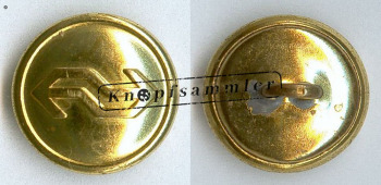 CTENL-070100-g17_(001)